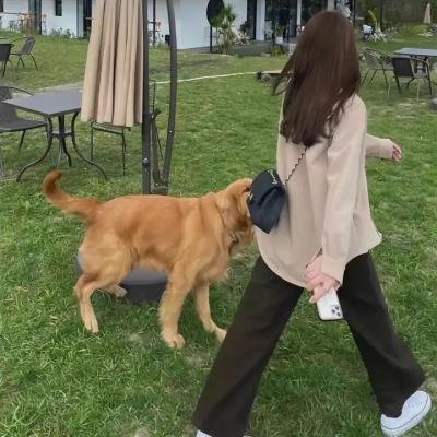 欢喜大逃亡